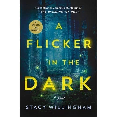 A Flicker In The Dark